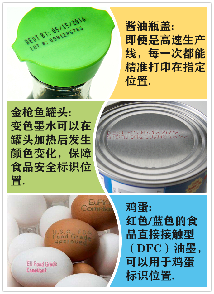 700-eggcoding_副本.jpg